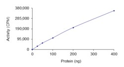 Sino Biological&nbsp;Recombinant Human AURKC/Aurora C Protein (Full Length, GST Tag), Active